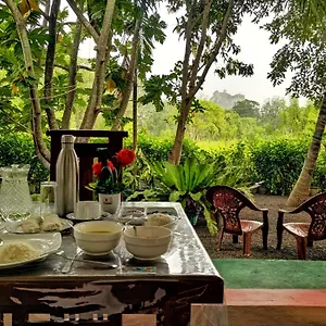 Palace View , Sigirîya Sri Lanka